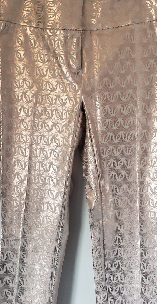 Alfani pants